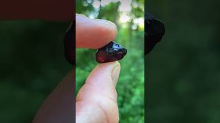 Finding GEM quality Almandine GARNET in Pennsylvania #garnet #rockhounding #mining