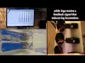 Meet Metamorpho: A Robot Simulating Biological Transformation