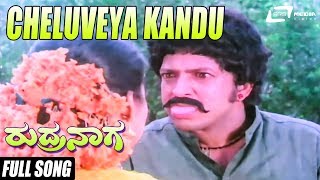 Cheluveya Kandu | Rudra Naga | Vishnuvardhan | Madhavi | Kannada Video Song