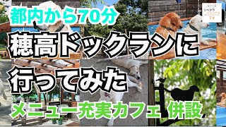 本格的なカフェとお洒落な空間の穂高ドッグラン(埼玉県桶川市）に行ってみた