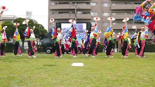 大富士with雄大グループ（2019湘南よさこい祭り）