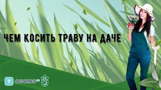 Чем косить траву на даче