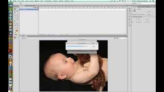 Tracing Bitmap Images in Flash Professional CS6