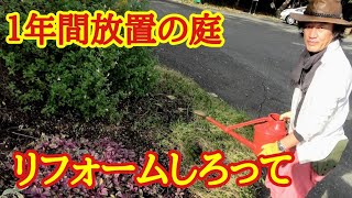 【荒地リフォーム3】園芸店長が急斜面の荒れた庭をリフォームします。植物の植え替え株分け剪定が初心者でも丸ごと分かります。