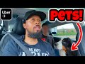I Accidentally Accepted an Uber Pets Trip…