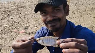 SnakheadfishingBigfish fishing Gulbarga khaja kotnoor dam fishing