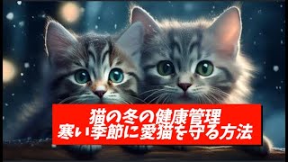 猫の冬の健康管理：寒い季節に愛猫を守る方法