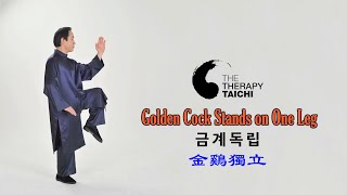 태극권 Taichi 太極拳 - 金鷄獨立 Golden Cock Stands on One Leg / Lee Chan 李燦 이찬