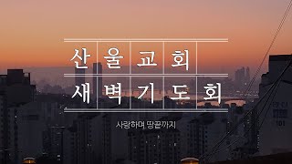 산울교회(산본) 2025년 2월  11일 새벽기도회