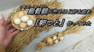 【卵つと】烏骨鶏の卵を藁で包む