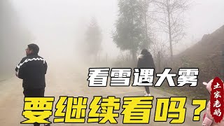 老鹅带小胖胖她们去看雪，不料上山就遇大雾，难道要打道回府吗？【土家老鹅】