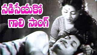 Raja Makutam Songs - Sadiseyako Gaali - N.T. Rama Rao, Kannamba, Rajasulochana, Gummadi