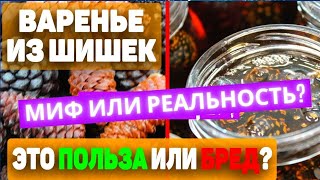 Настойка и Варенье из сосновых шишек, польза или бред? Удивительное независимое расследование!