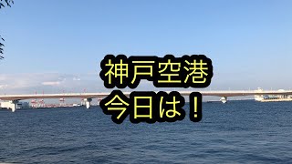 神戸空港今日は！fishingmax神戸ハーバー店