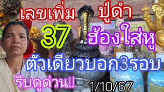 ปู่ดำ37\