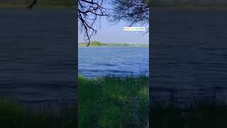 Thol Bird Sanctuary Gujarat |lAhmedabad To Thol Bird Sanctuary |