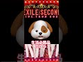 【ldh】secondのグッズに8万使った犬