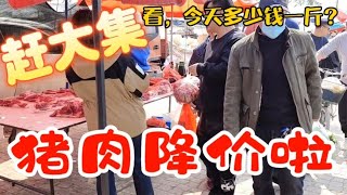 天津的猪肉降价太吓人，看4月3日集市上卖多少钱一斤？大吃一惊~带你们看每天中国菜市场物价【茉茉妈vlog】