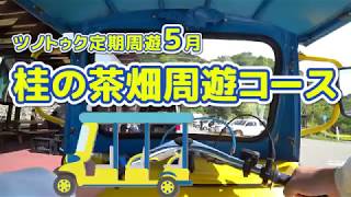 ５月は新茶の季節！ツノトゥクに乗って茶畑をご紹介！