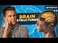 Brain Structures & Functions  [AP Psychology Unit 2 Topic 6]