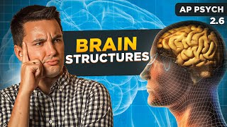Brain Structures & Functions  [AP Psychology Unit 2 Topic 6]