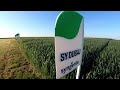 BESTSELLERY W KOLEKCJI PSZENIC SYNGENTA 2022