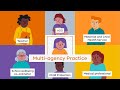 Multi-Agency Practice - MARAM Animation Series