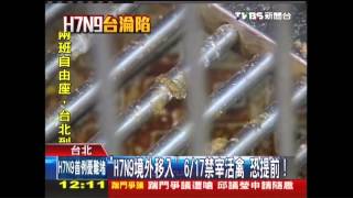 「H7N9境外移入」　6／17禁宰活禽恐提前