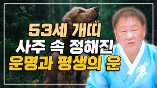 [1970년 개띠 운세] 1970년생 53세 개띠 사주가 가지고 태어난 운명과 평생의 운세 / 개띠운세 확인하세요! [인천점집 별상도령]