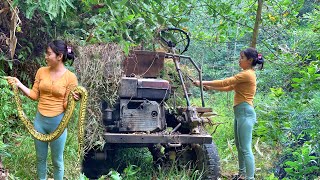 The old car was abandoned in the woods. I fixed it and it is running again.