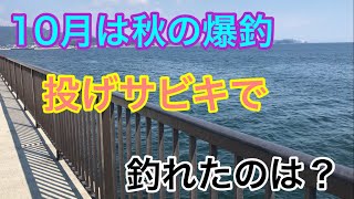 10月は秋の爆釣 投げサビキ釣りで釣れたのは？三河湾 吉良サンライズパーク