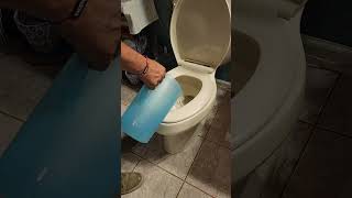 Grid down toilet flush/ waste management without running water #pootube