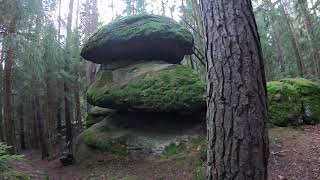 Kraftplätze im Waldviertel