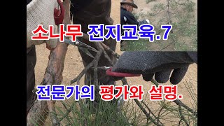 소나무전지 교육 일곱 번째시간은 전지유인희선생님께서 교육생들의 실습을 평가하는 시간입니다