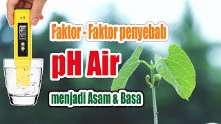 Baru Tau, Ternyata Faktor - Faktor Ini Penyebab ph Menjadi Asam dan Basa? #Belajar Hidroponik