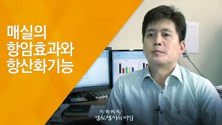 매실의 항암효과와 항산화기능 - (20120630_419회 방송)_새콤달콤 과일 처방전 2편 - 천연 종합영양제 키위, 매실