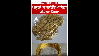 Gold was found concealed in dates |ਖਜੂਰਾਂ 'ਚ ਲਕੋਇਆ ਸੋਨਾ ਫੜਿਆ ਗਿਆ