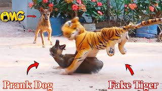 Wow!!! Fake Tiger Prank Super Dog Very Funny | Try To Stop Laugh Challenge | Prank Dog 2021