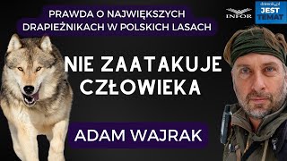 Adam Wajrak: człowiek zabity przez wilka? Tak samo prawdopodobne jak przez meteoryt