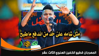 الشاعر رضا العبادي || مهرجان قطيع الكفين السنوي 2020 البصره الزبير