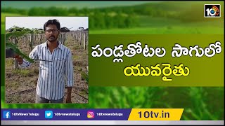 పండ్లతోటల సాగులో యువరైతు | Success Story Of Young Farmer Sandeep Kumar | Matti Manishi | 10TV News