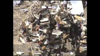 Middlegate NV Shoe Tree - Nevada 150th