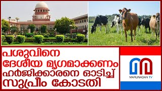 പശുവിനെ ദേശീയ മൃഗമാക്കാന്‍ ചെന്നയാള്‍ക്ക് പറ്റിയത്  l Supreme Court of India