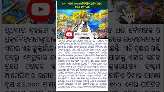 ୧୦୦ ଏକର ଜାଗା ମାଡ଼ିବସିଛି ଗୋଟିଏ ଗଛର ୪୭,୦୦୦ କାଣ୍ଡ#news #viral #trending #shots #odianews #fact