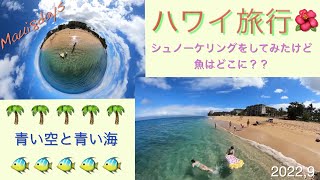 【ハワイ旅行記】8日目は海でシュノーケリング🐠マウイのカアナパリの海は綺麗🌺