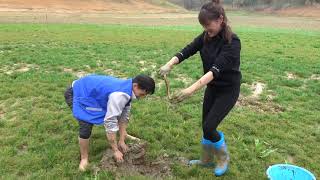 小莫野外巧遇搞野牛人，这抓泥鳅技术真是厉害啊