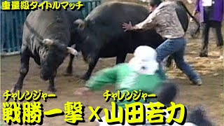 戦勝一撃ｘ山田若力 2005.11.13（重量級タイトルマッチ）　【沖縄闘牛】