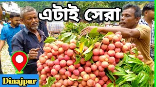 বাজার কাঁপানো লিচু দিনাজপুর লিচুর মার্কেটে || dinajpur lichu price 2024 || best lichu in Dinajpur