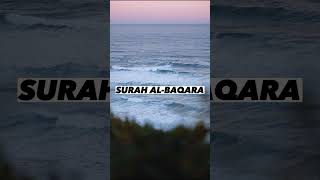 SURAH AL-BAQARA |Ayaat 87+88| Recitation by Mishary Rashid Alafasy | Islam The Heavenly Path