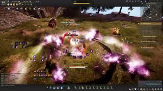 BDO: Nova Awakening vs Striker Awakening